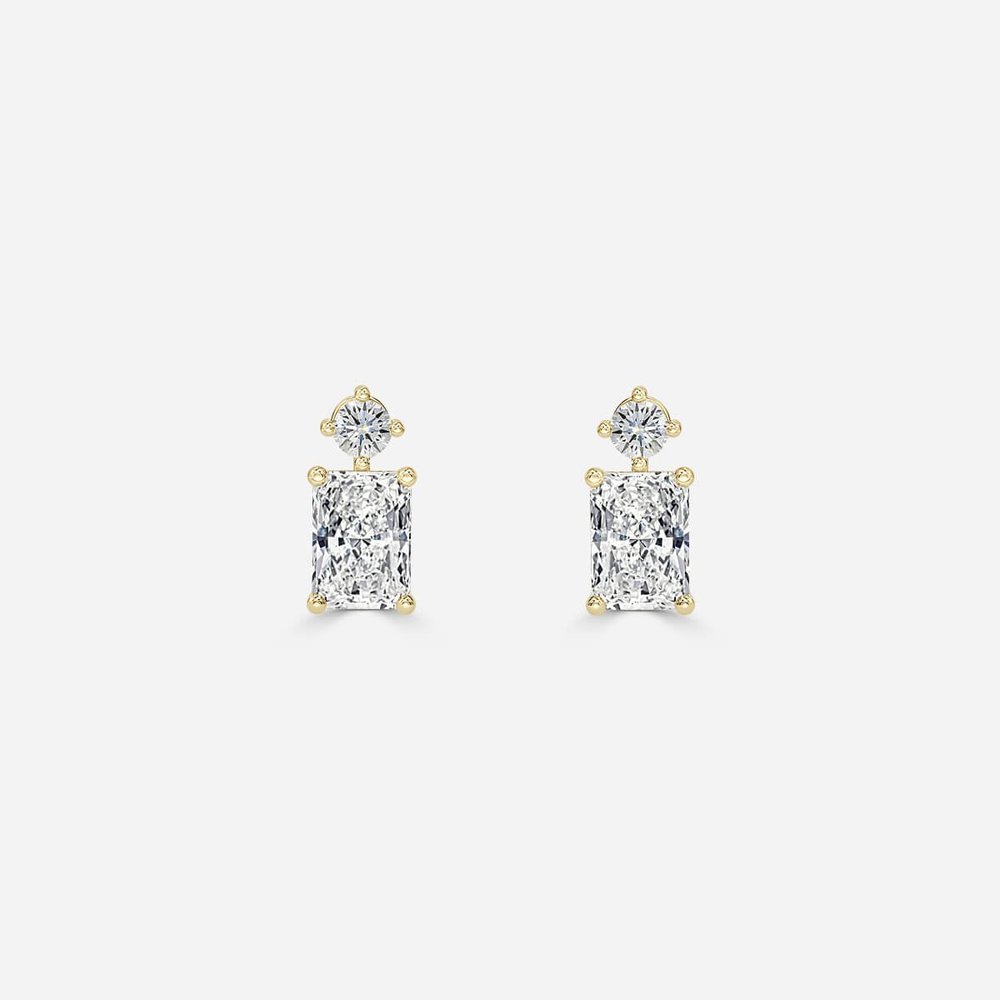 Drop Earrings